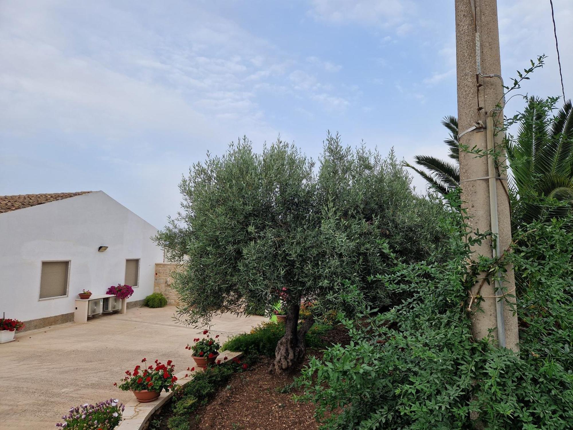 Casa Vacanza I Due Ulivi Modica Exterior foto